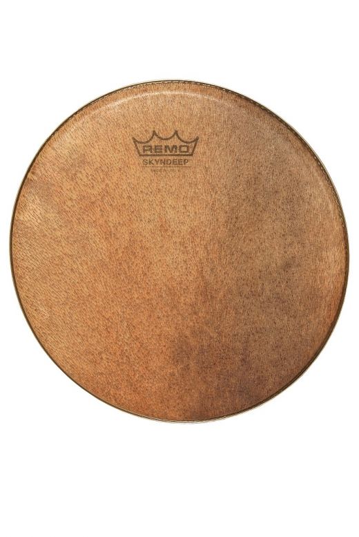 Remo Skyndeep Pandeiro Head 10-Inch - The Perfect Replacement Head for Your Pandeiro Drum