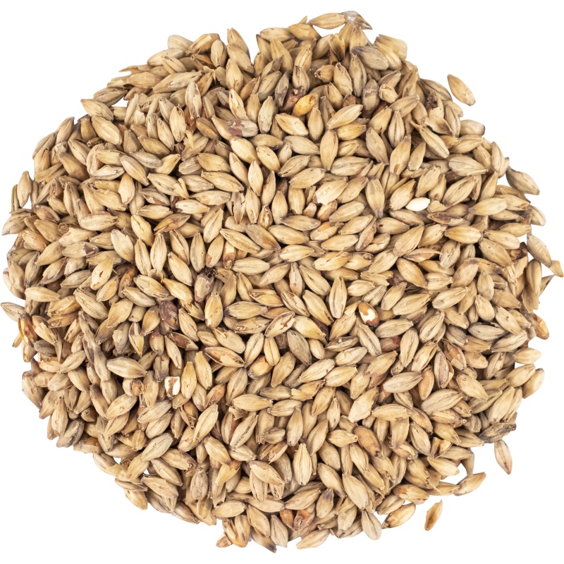 Red Active Malt - Viking Malt