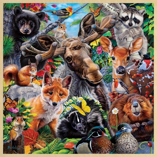 Woodland Friends - Fun Facts 48 Piece Wood Jigsaw Puzzle