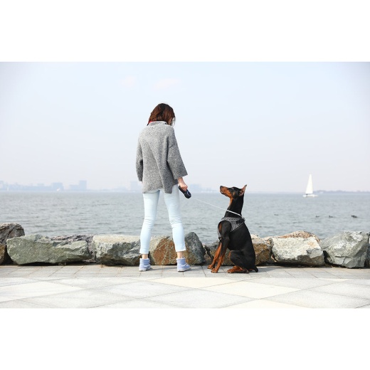 Instachew Petkit Air Fly Dog Harness