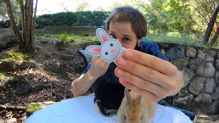 Hipp Hopp Rabbit (2Pk) By Rocco & Shaun Jay - Trick