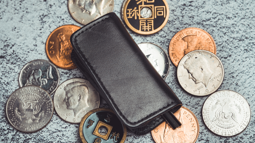 Zipper Coin Purse By Amor Magic - Perfect for Magicians and Coin Collectors