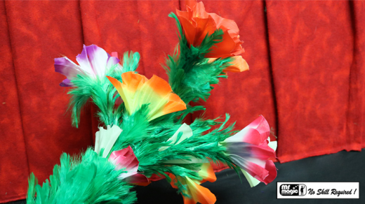 Giant Feather Fantasy By Mr. Magic - Trick