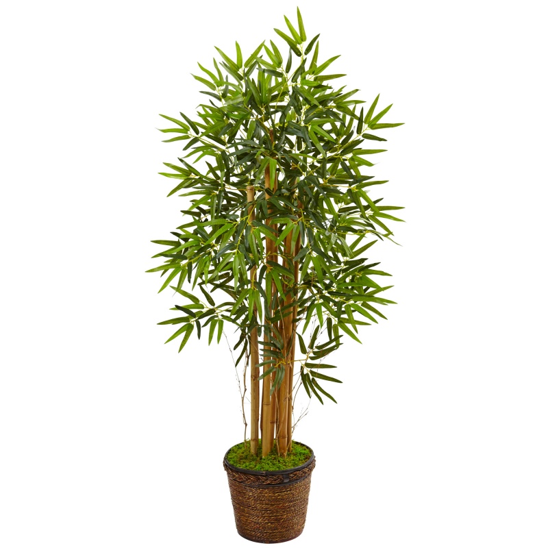 4.5’ Bamboo Tree In Coiled Rope Planter