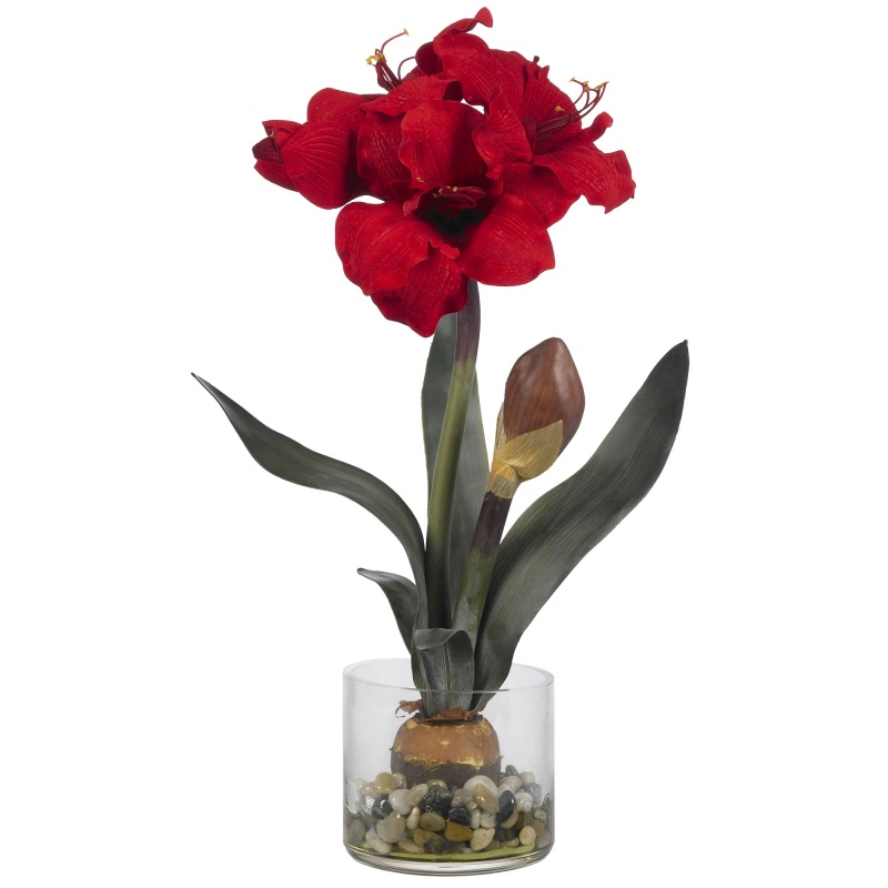 Amaryllis W/Round Vase