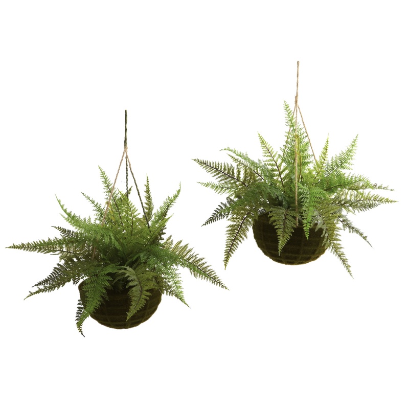 Leather Fern W/Mossy Hanging Basket (Indoor/Outdoor) (Set Of 2)
