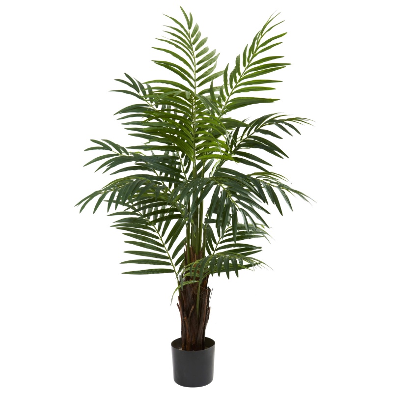 4’ Areca Palm Tree