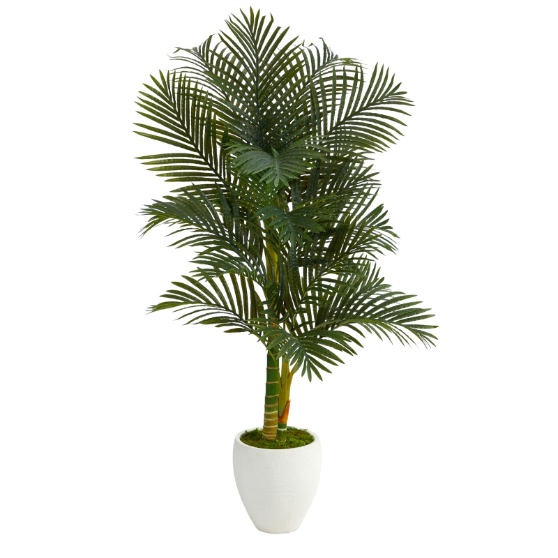5’ Paradise Palm Artificial Tree In White Planter