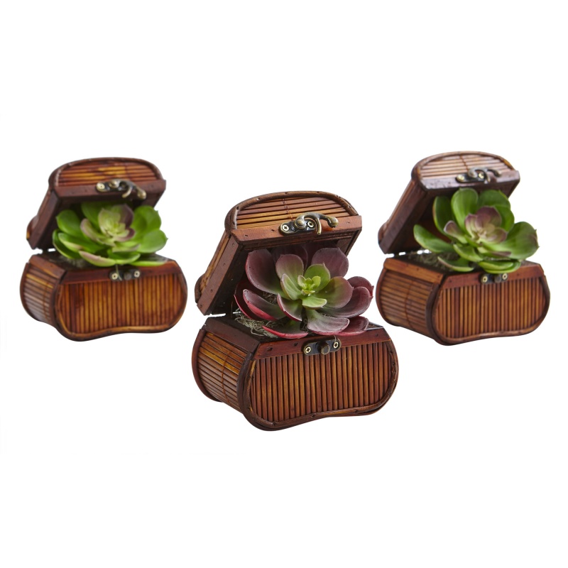 Product thumbnail 5