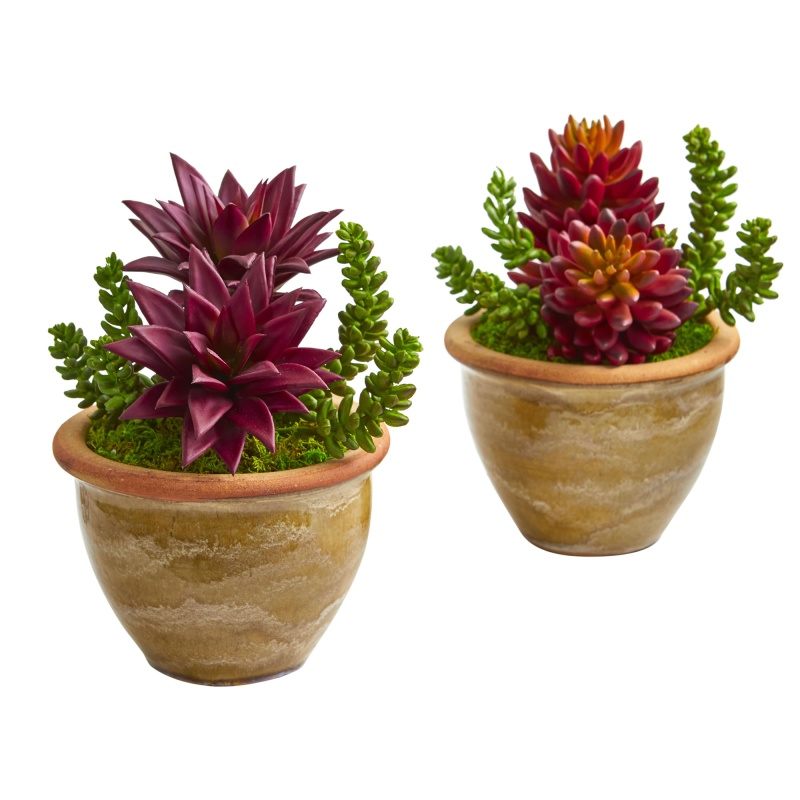 Succulent Artificial Plant In Ceramic Planter (Set Of 2)
