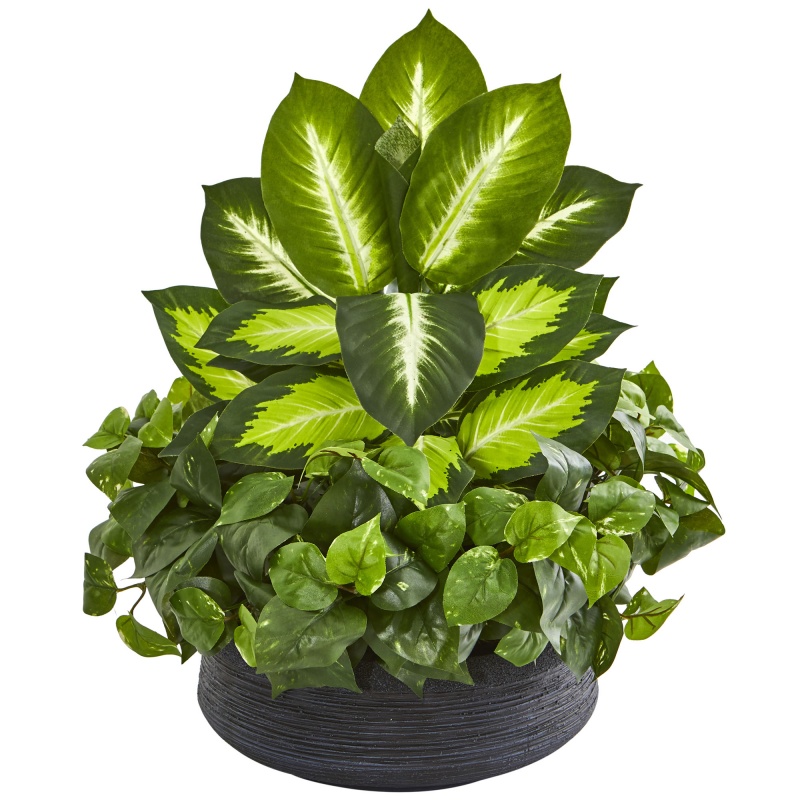 Golden Dieffenbachia & Pothos Artificial Plant In Black Planter