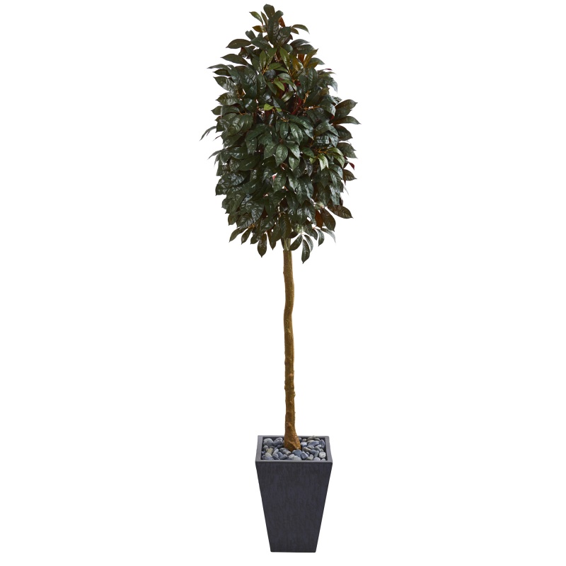 71” Capensia Ficus Artificial Tree In Slate Planter