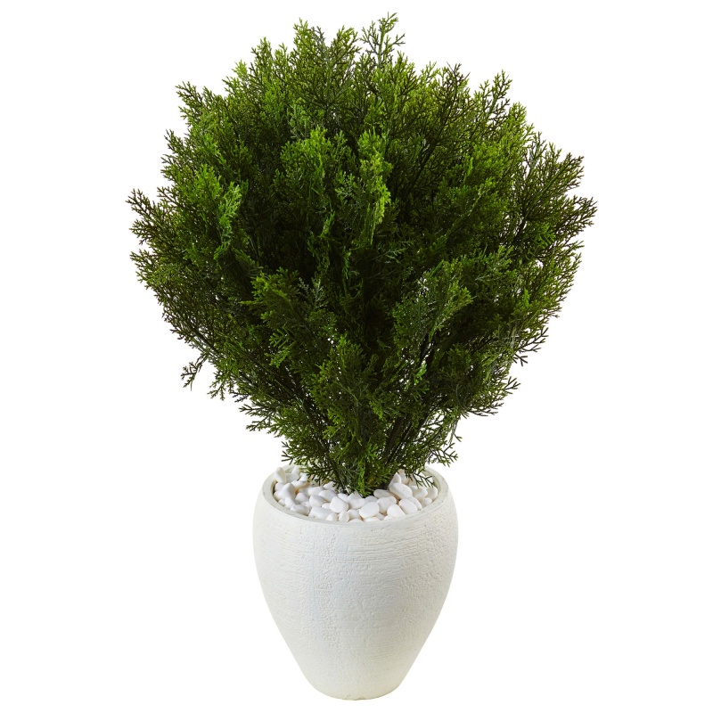 3’ Cedar in Oval Textured Planter