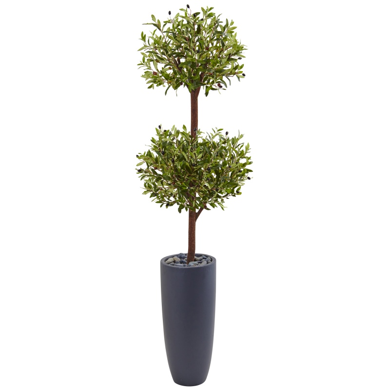 6’ Olive Double Tree In Gray Cylinder Planter