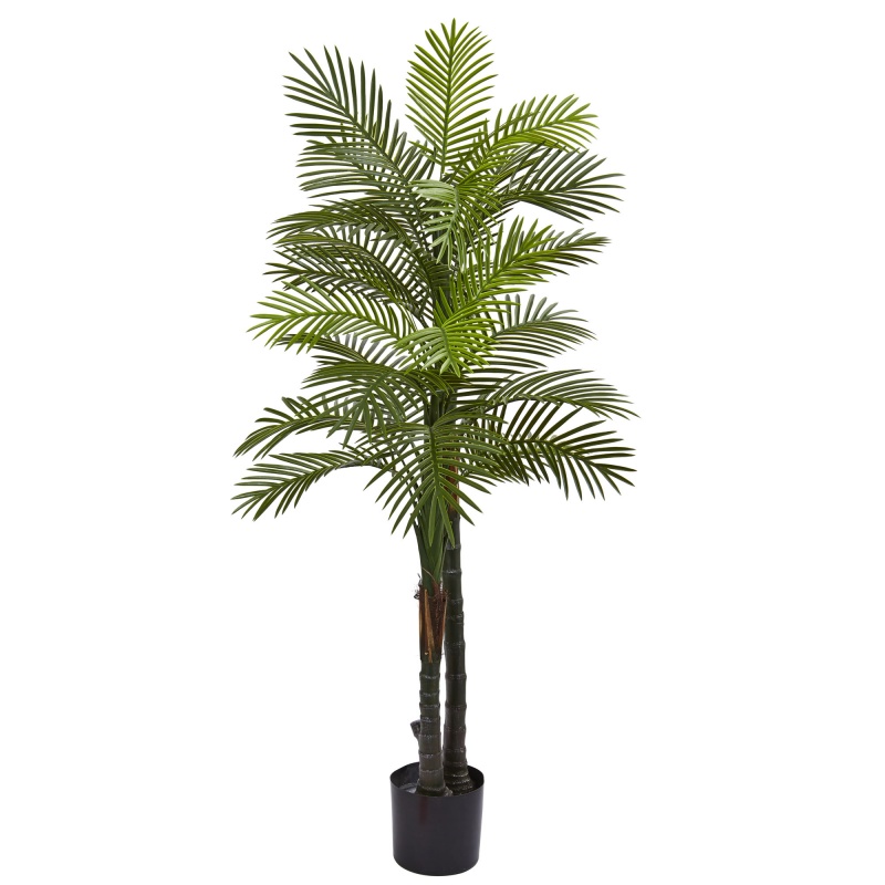 5.5’ Double Robellini Palm Tree Uv Resistant (Indoor/Outdoor)