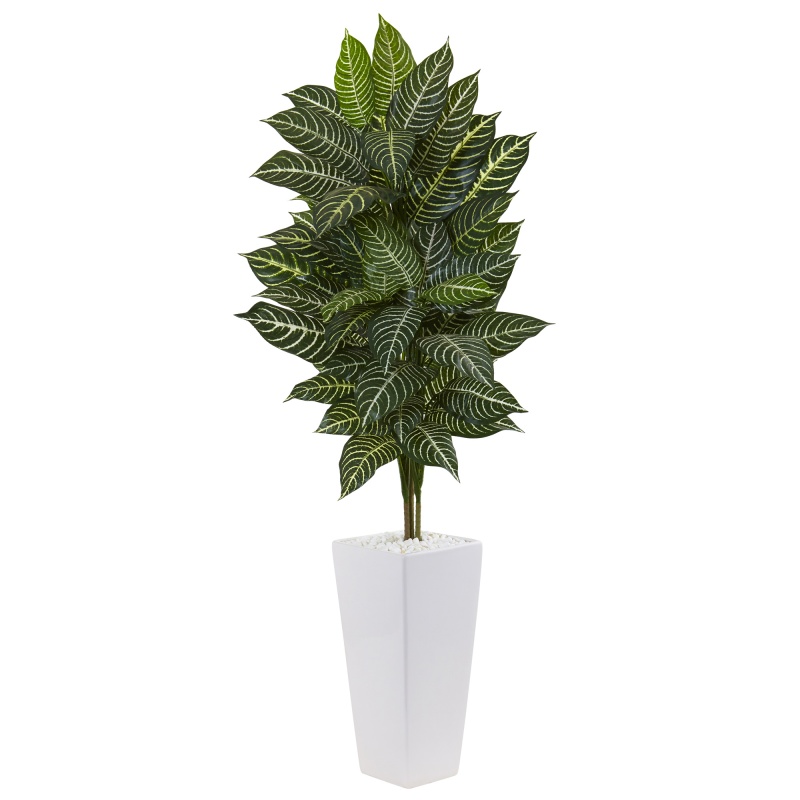 4’ Zebra Plant In White Tower Planter