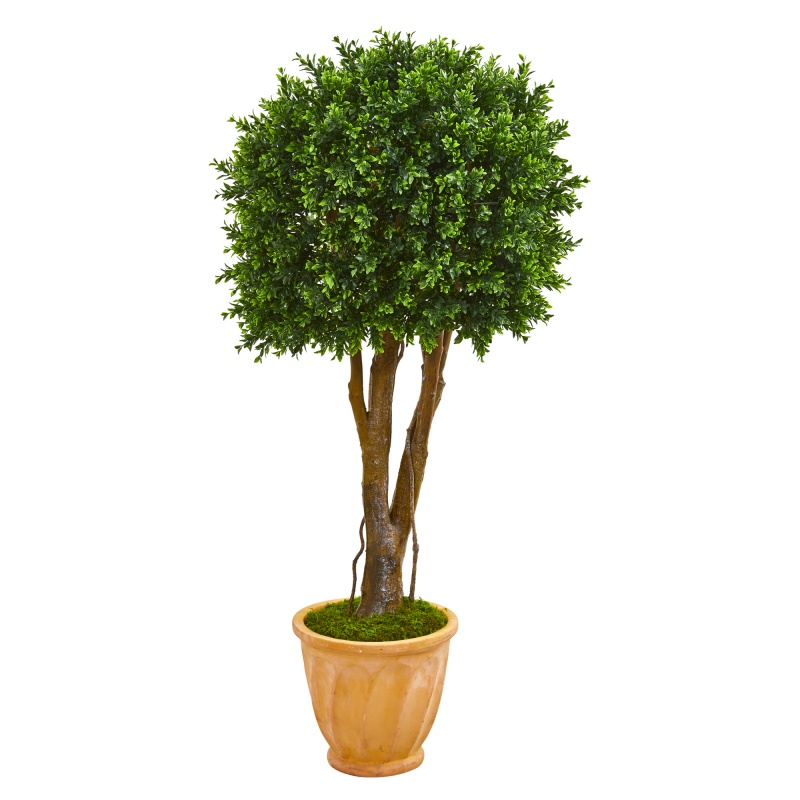 50” Artificial Boxwood Topiary Tree in Terra-Cotta Planter
