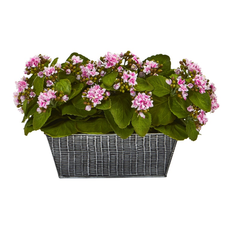 14” Kalanchoe Artificial Plant In Black Embossed Planter