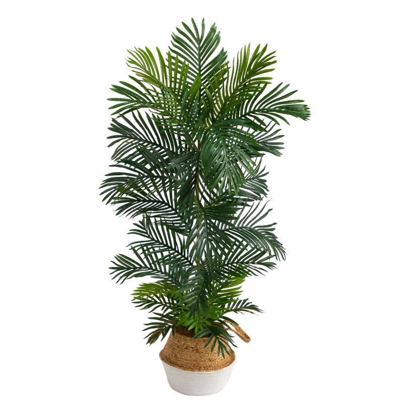 5' Areca Palm Tree in White Woven Planter