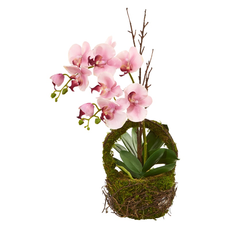 Phalaenopsis Orchid Artificial Arrangement In Twig Basket
