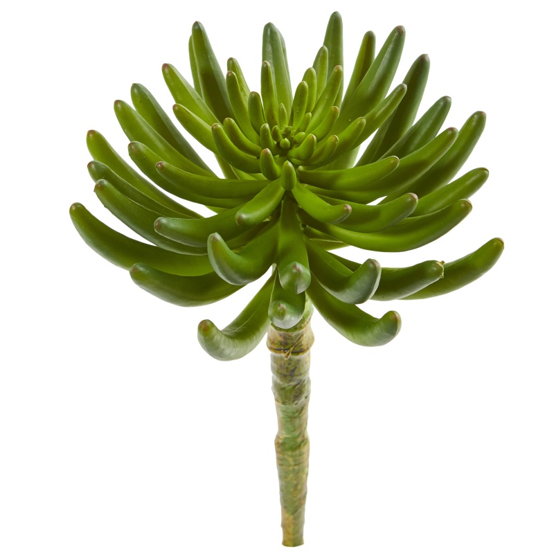 12” Succulent Artificial Plant (Set Of 6)