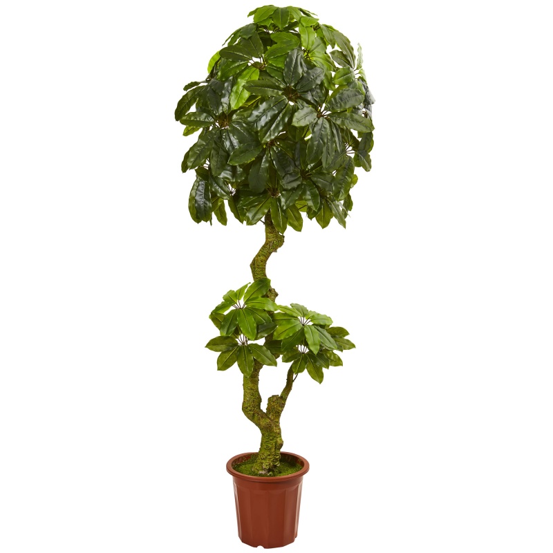 6’ Schefflera Artificial Tree Uv Resistant (Indoor/Outdoor)