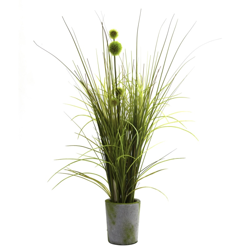 Grass & Dandelion W/Cement Planter