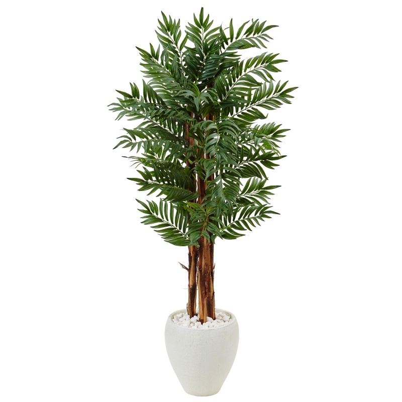 5’ Parlor Palm Tree In White Oval Planter