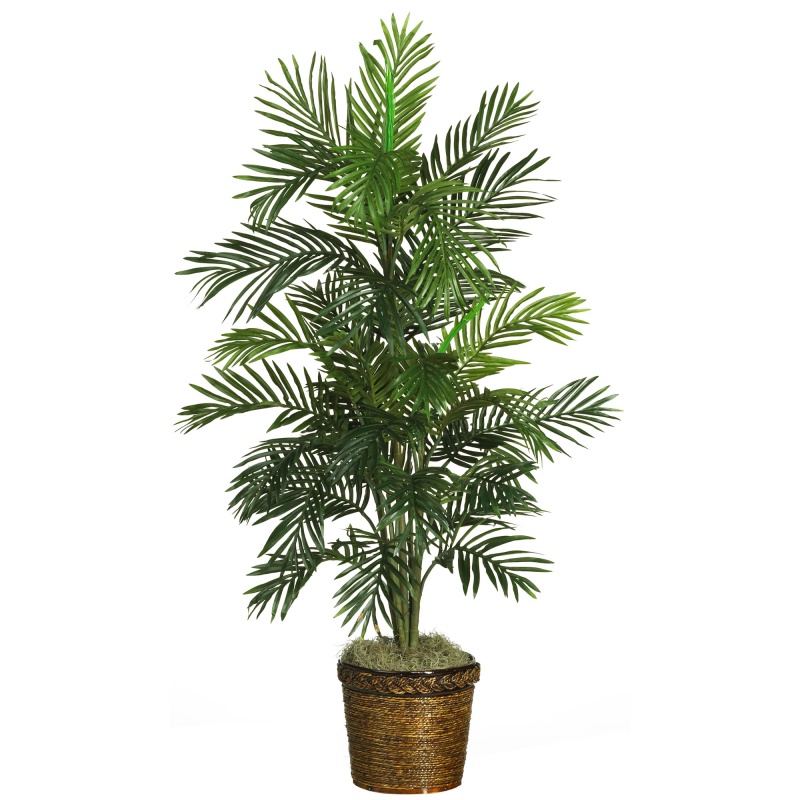 56" Areca Palm Silk Tree W/Basket