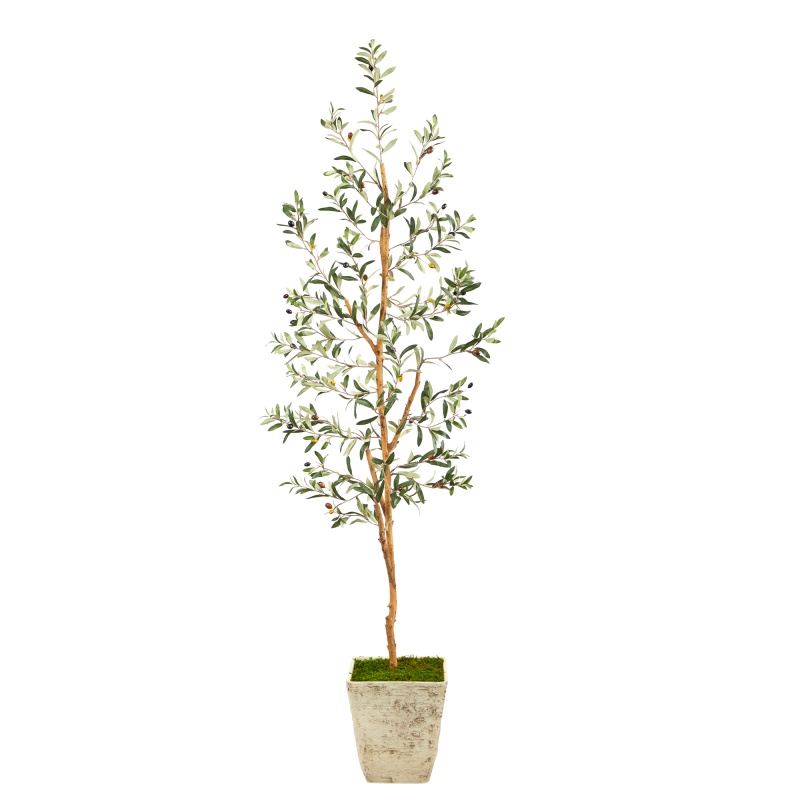 70” Olive Artificial Tree in Country White Planter