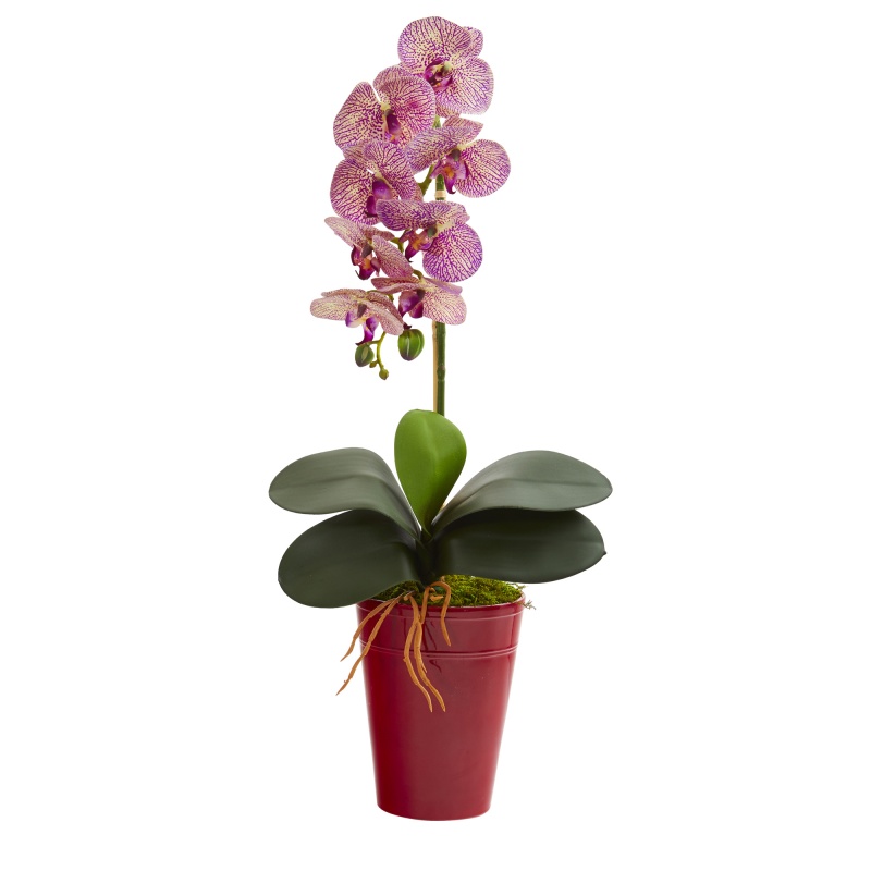 23” Phalaenopsis Orchid Artificial Arrangement In Vase