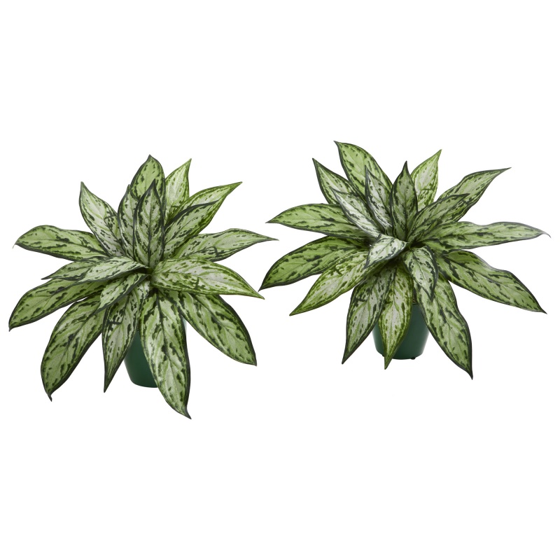 Silver Queen Artificial Plant in Green Planter, Set of 2