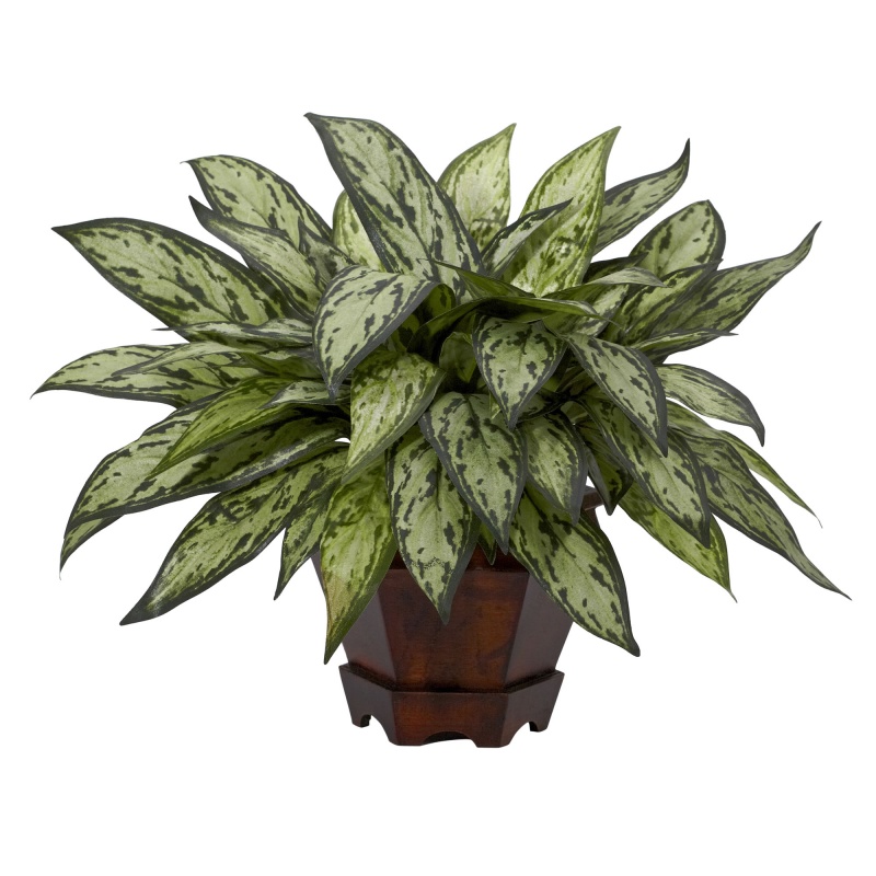 Triple Silver Queen W/Hexagon Vase Silk Plant