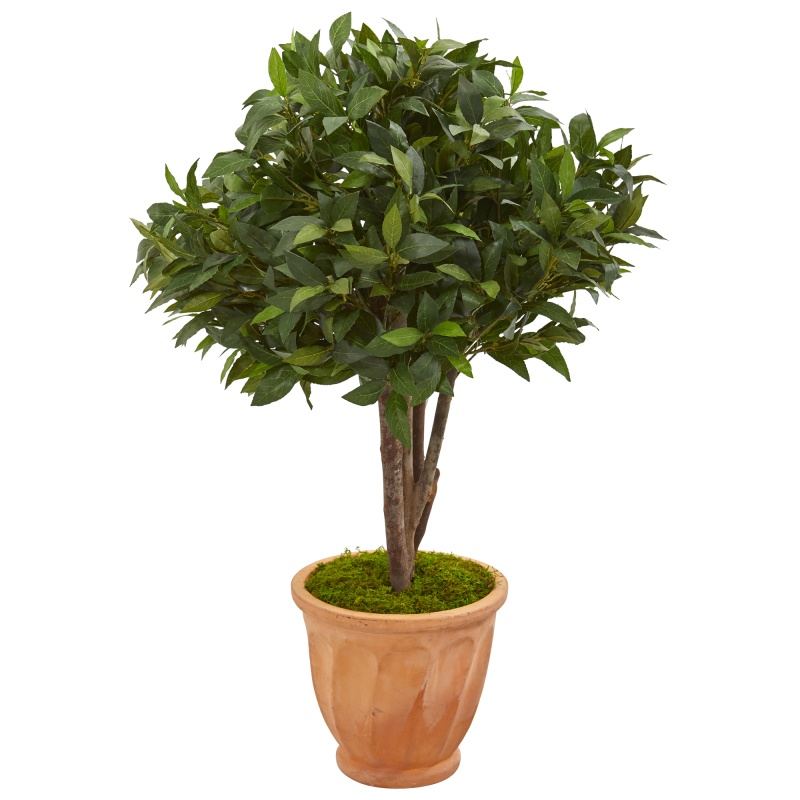 39” Bay Leaf Topiary Artificial Tree In Terra Cotta Planter