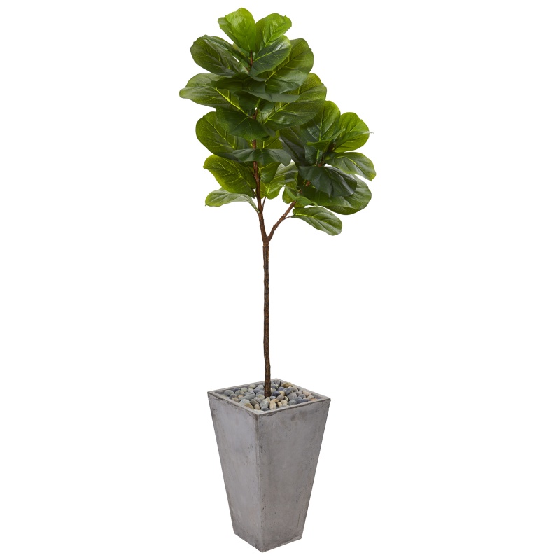 70” Fiddle Leaf Artificial Tree In Cement Planter (Real Touch)