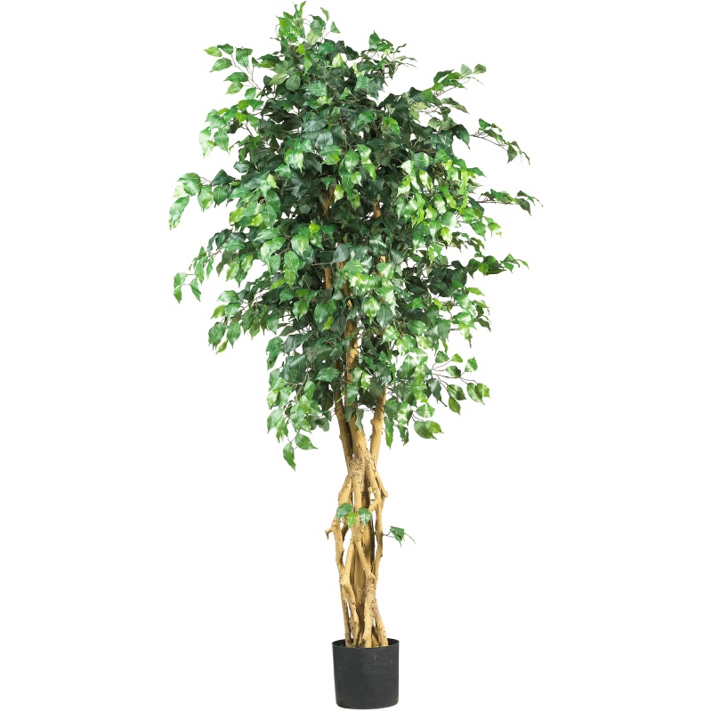 6' Palace Style Ficus Silk Tree