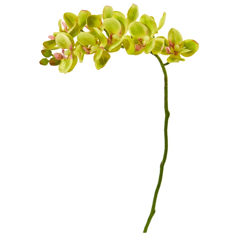21” Phalaenopsis Orchid Artificial Flower (Set Of 6)