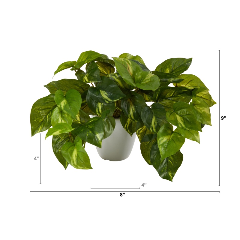 Product thumbnail 2