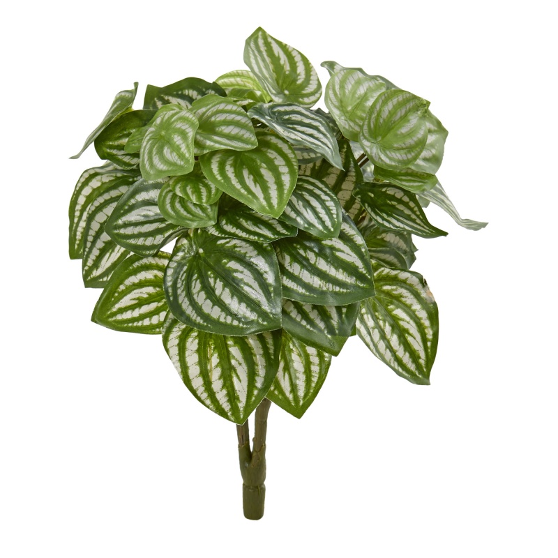 14” Watermelon Peperomia Artificial Plant (Set Of 6) (Real Touch)