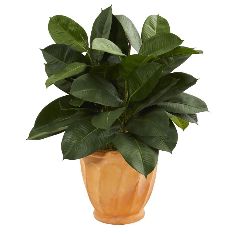 29” Artificial Rubber Plant In Terra Cotta Planter