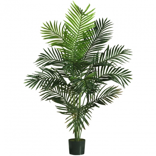 5' Paradise Palm - Tropical Oasis Decor