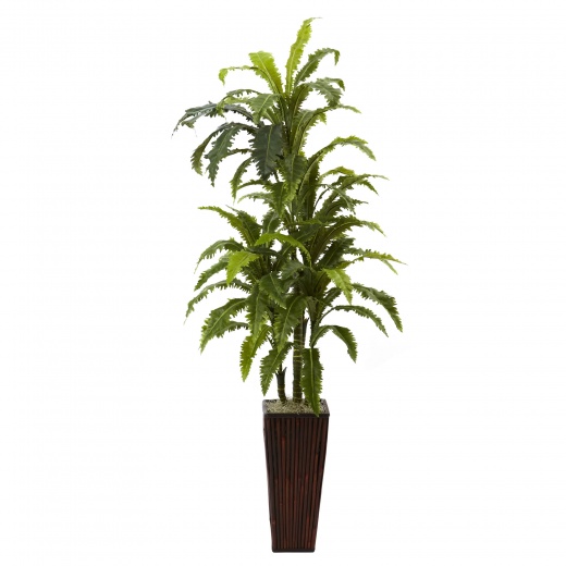 Margarintum W/Bamboo Planter