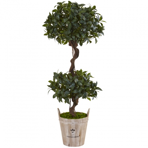 4.5’ Sweet Bay Double Topiary Tree In Farmhouse Planter