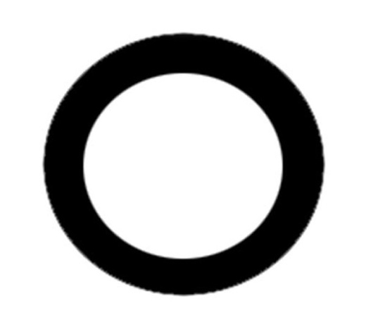O-Ring