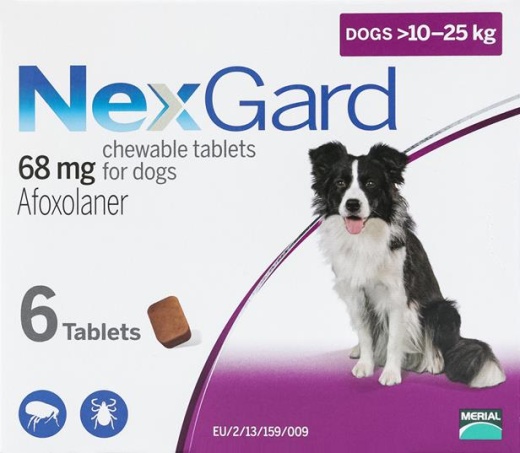 Nexgard for Dogs 24-60 Lbs (10-25Kg) - 6 Chewables