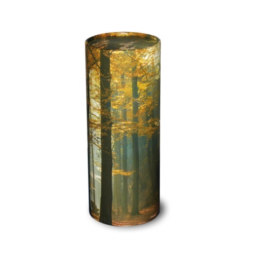 Autumn Woods Scattering Tube