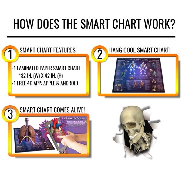 Popar Human Anatomy 4D Smart Chart & App-Large
