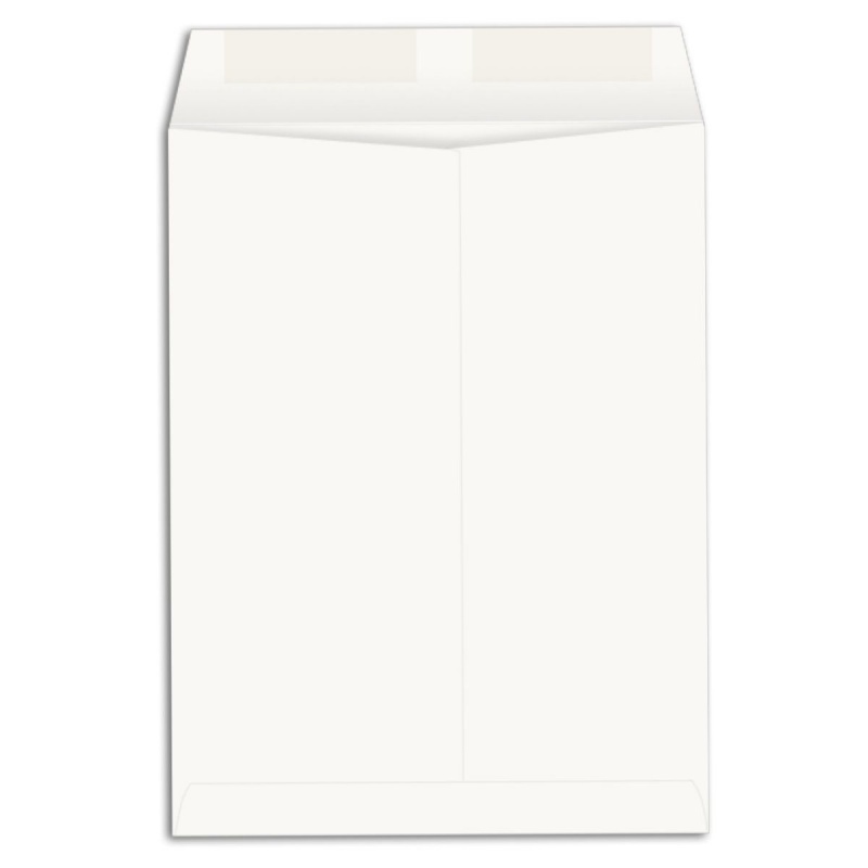 9-1/2-X-12-1/2 Catalog Envelopes - 28Lb White Wove - (9.5 X 12.5) - 500 Box