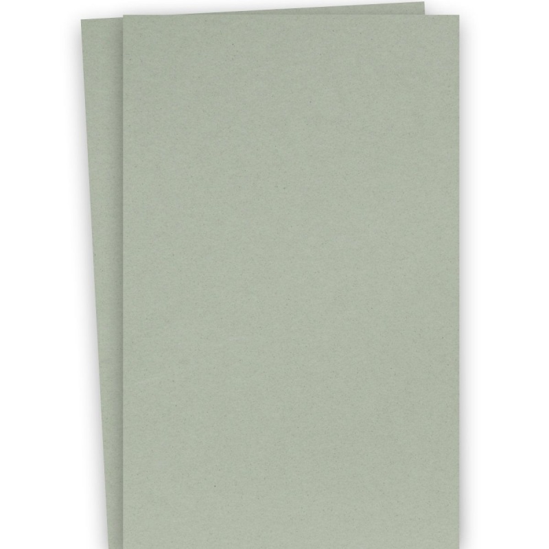 Crush Kiwi - 13X19 Card Stock Paper - 92Lb Cover (250Gsm) - 150 Pk