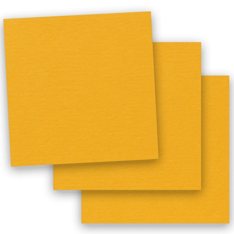 Clearance] BASIS COLORS - 12 x 12 CARDSTOCK PAPER - Light Blue